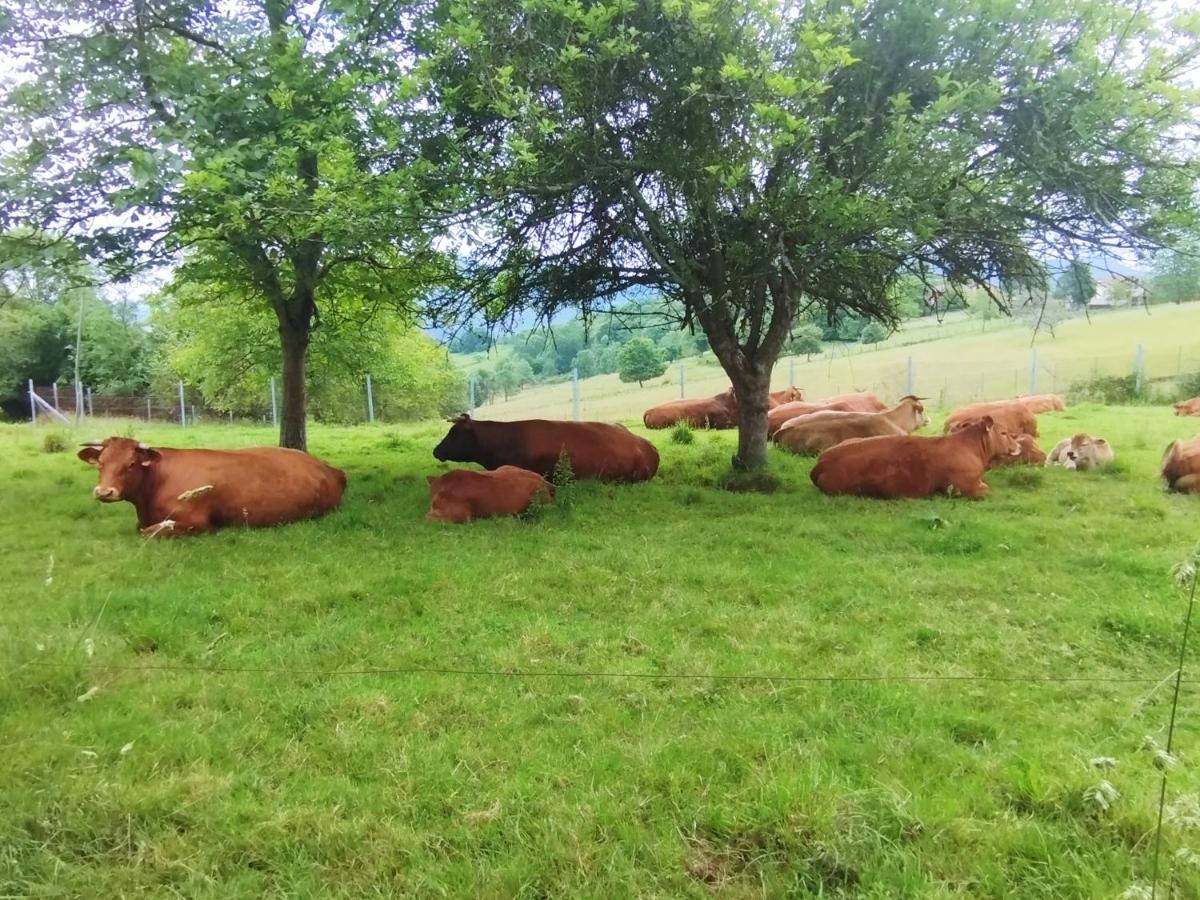 Séjour à la campagne El Jondrigu *