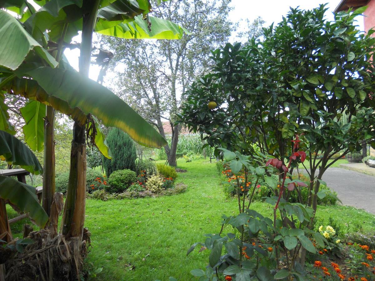 Country house El Jondrigu